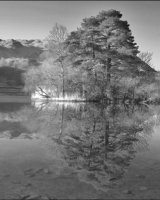 Commended Rydal Water by Peter Lucas