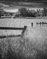 HC The Old Fence by Vill Allsopp