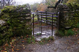 Wet autumn day by Cynthia Bollands