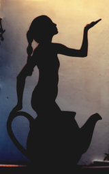 The genie of the lamp