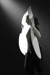 "Entre deux", L'aéronef