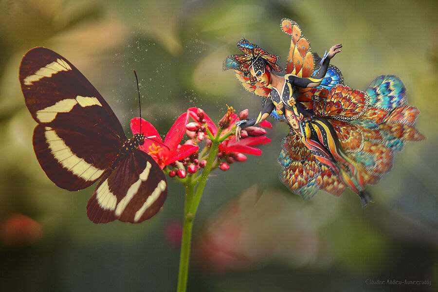 Deux papillons