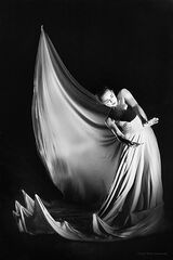 L'aéronef, Spectacle S (1)