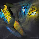 Dragon bicolor