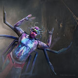 L'araignée