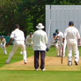 CNV00031 cricket-Edit