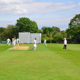 CNV00039 cricket-Edit
