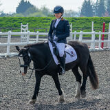 DSC 0050-Edit