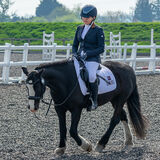 DSC 0051-Edit