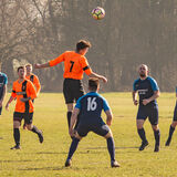 DSC 0393-Edit