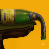 DSC 0553 melted champagne bottle