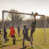 DSC 0568-Edit