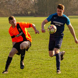 DSC 0733-Edit-Edit