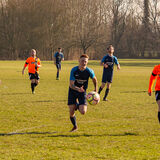 DSC 0833-Edit
