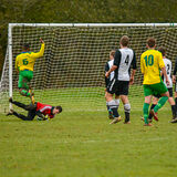 DSC 1230-Edit