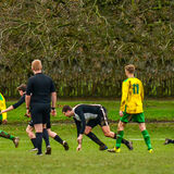 DSC 1386-Edit-Edit-Edit-Edit