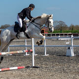 DSC 3111-Edit