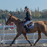 DSC 3119-Edit