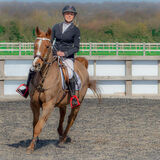 DSC 3129-Edit-Edit-Edit-Edit