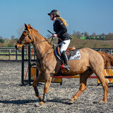 DSC 3134-Edit