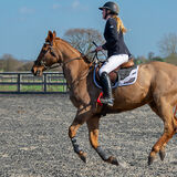 DSC 3136-Edit