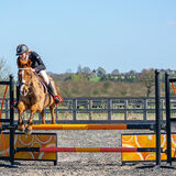 DSC 3141-Edit