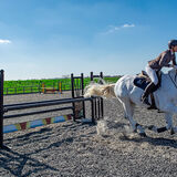 DSC 3169-Edit