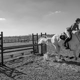 DSC 3169-Edit