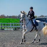 DSC 3170-Edit