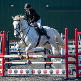 DSC 3176-Edit