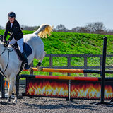 DSC 3201-Edit