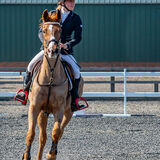 DSC 3231-Edit