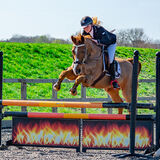 DSC 3250-Edit