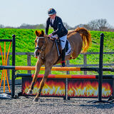 DSC 3251-Edit