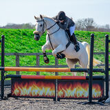 DSC 3276-Edit