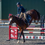 DSC 3291-Edit