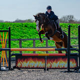 DSC 3308-Edit