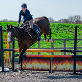 DSC 3310-Edit