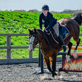 DSC 3311-Edit