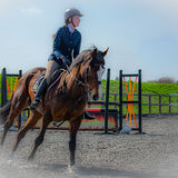 DSC 3415-Edit-Edit