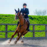 DSC 3436-Edit-Edit