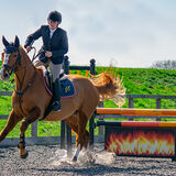 DSC 3440-Edit