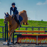 DSC 3472-Edit-Edit