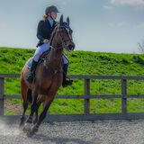 DSC 3510-Edit