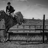 DSC 3514-Edit