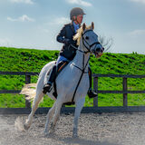 DSC 3529-Edit