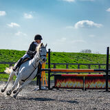 DSC 3536-Edit
