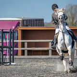 DSC 3619-Edit