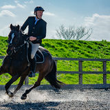 DSC 3658-Edit