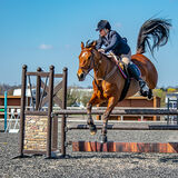 DSC 3665-Edit